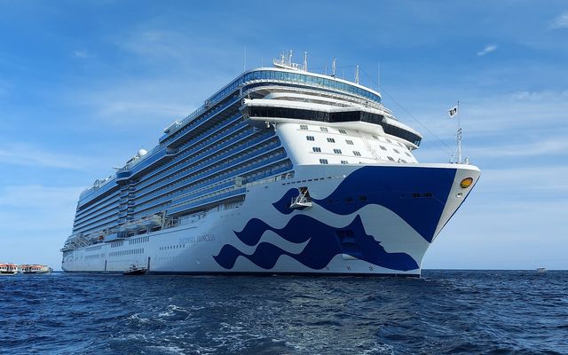 Discovery Princess von Princess Cruises